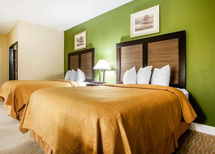 Quality & North - Urbana Hotel